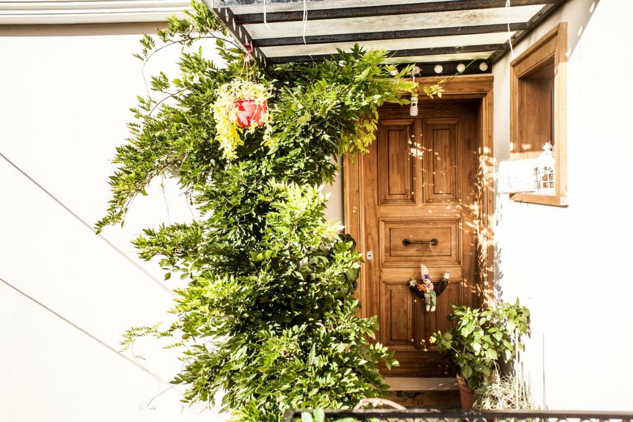 La Casa Di Caterina: Nature,Relax And Private Garden Lefkada City Екстер'єр фото