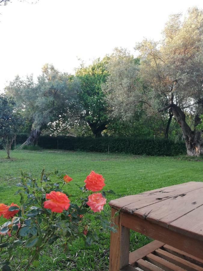 La Casa Di Caterina: Nature,Relax And Private Garden Lefkada City Екстер'єр фото